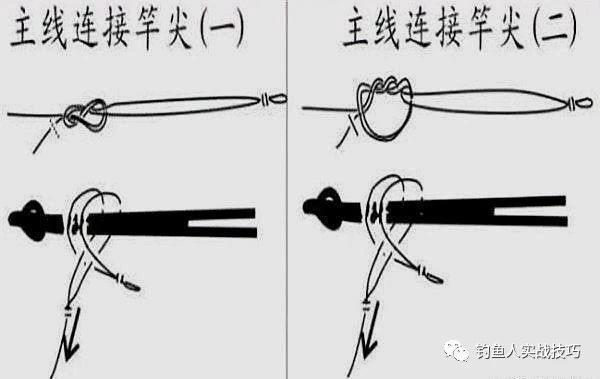 两种不同鱼线绑法,简单易学的主鱼线绑法