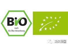 德国一线城市生活,德国生活有哪些和国内不一样