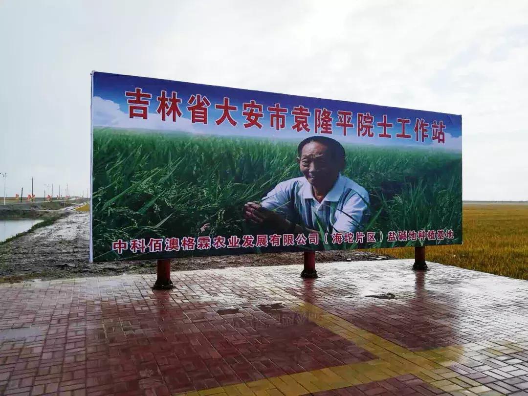 大农业、大食品、大格局、大品牌！河北新农业产业新星涌现