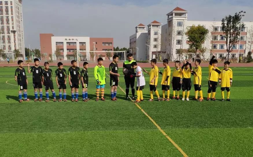 潍坊潍城区小学足球比赛,潍城区小学生足球比赛