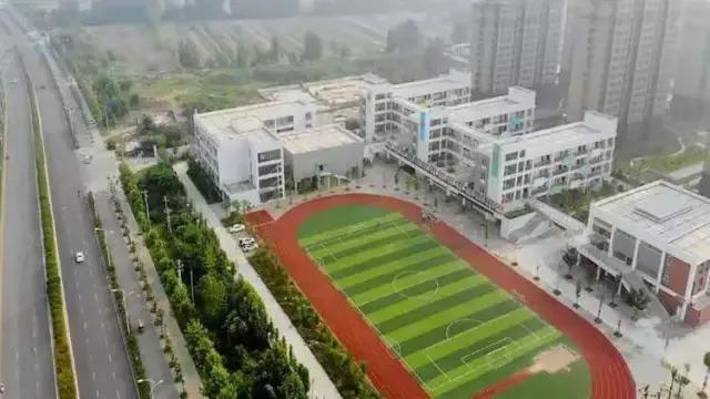 太原青年路小学分校,青年路小学2016-2019招生情况