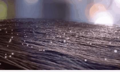 明星亲测力推同款洗发水,康王亲测