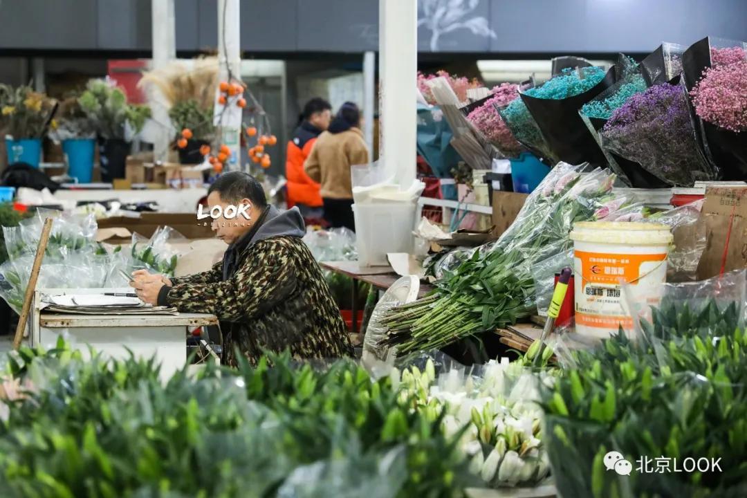 最便宜的北京花市,北京超好逛的花市