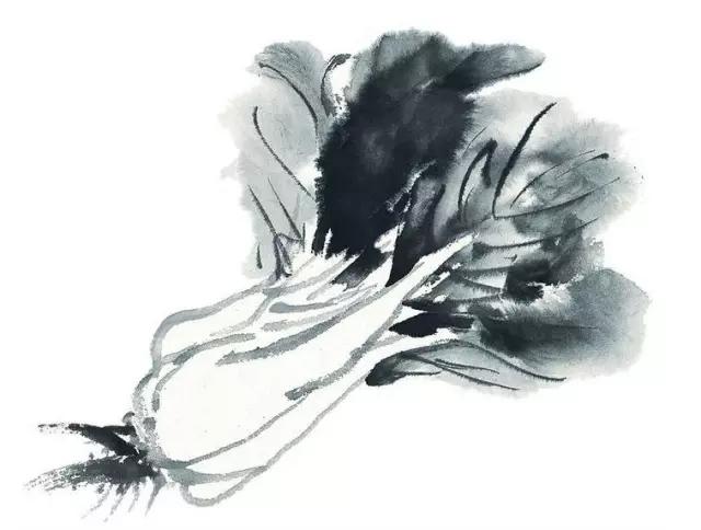 画白菜技法,3d白菜画