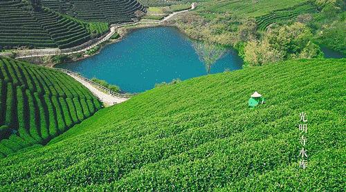 杭州原研斋茶园民宿,杭州茶园民宿推荐