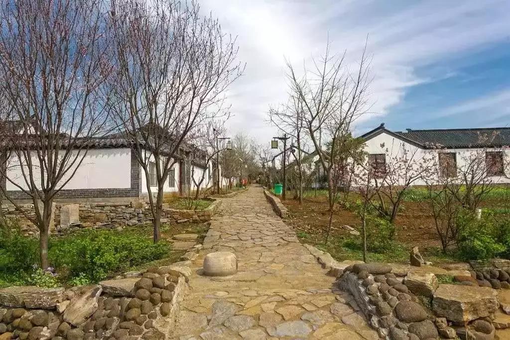 富春山居图惊艳片段,看懂富春山居图画