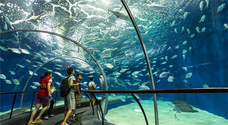 澳大利亚何时去旅游最好,去澳大利亚悉尼需要什么条件