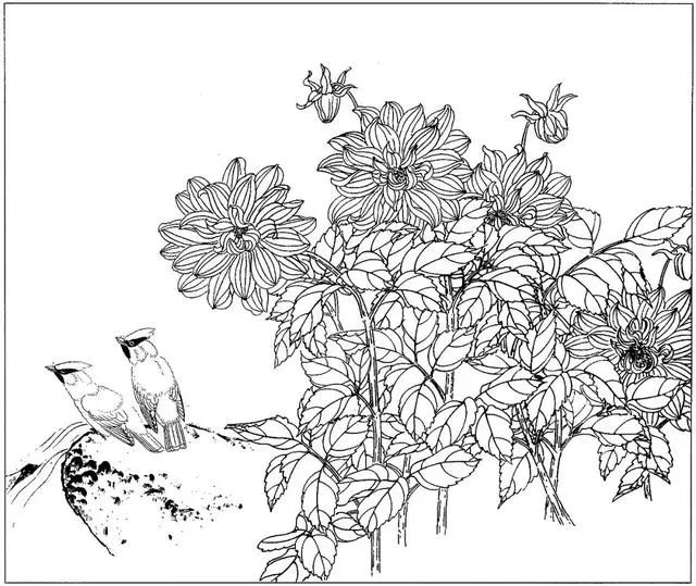 工笔花鸟白描步骤图,牡丹六尺横幅白描工笔花鸟底稿