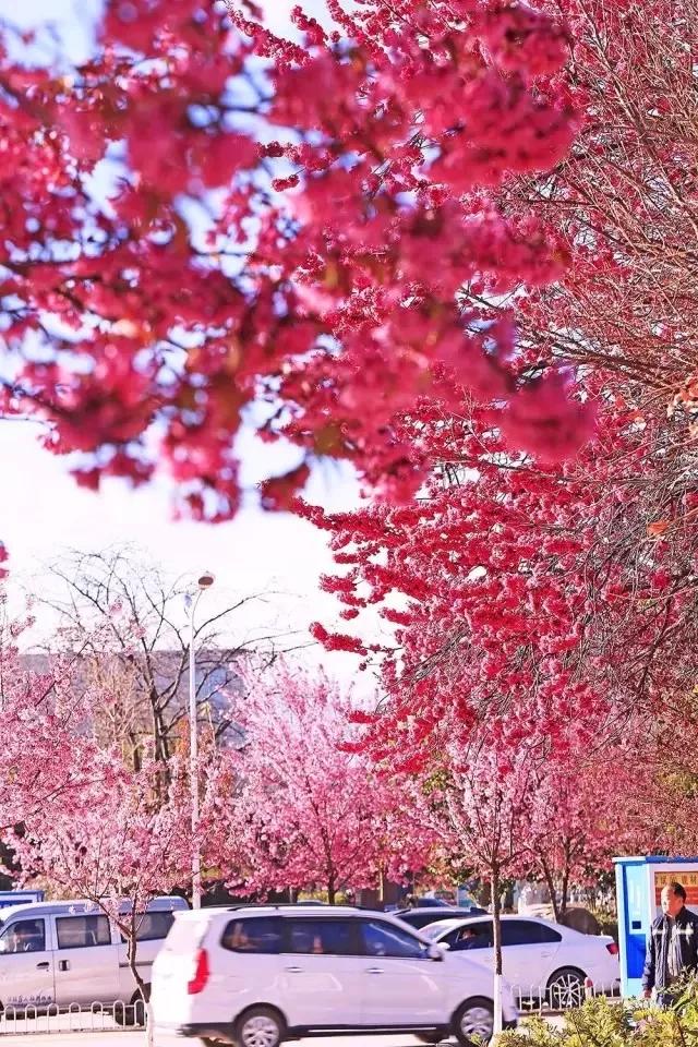 云南自驾5条最佳线路图,云南适合开车自驾的公路