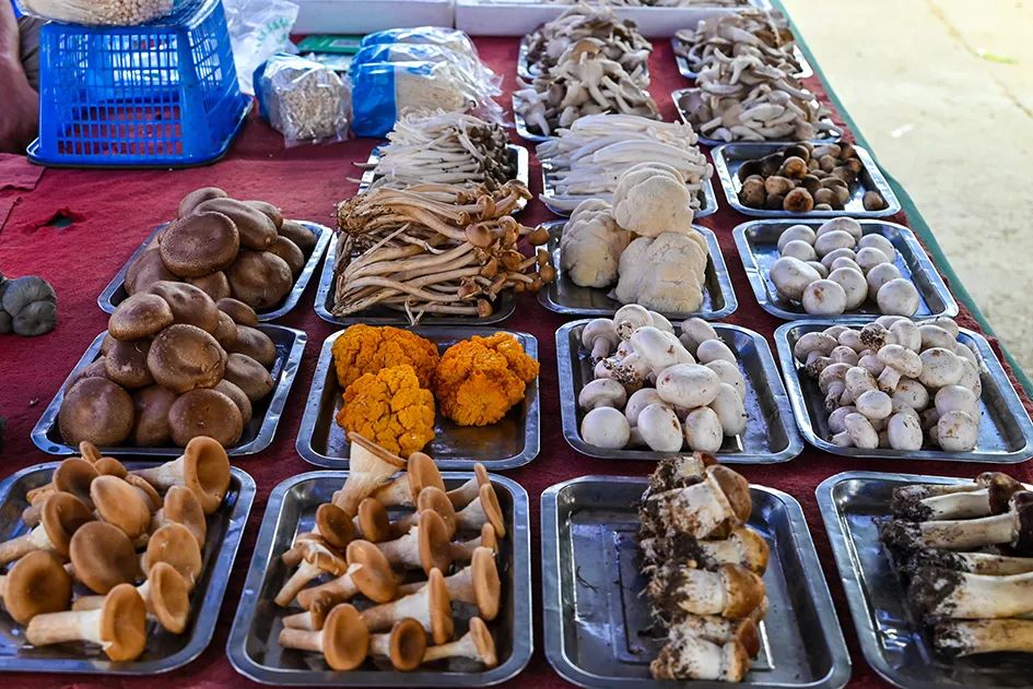 北京南城最大的早市在哪里,北京大兴早市哪个最好