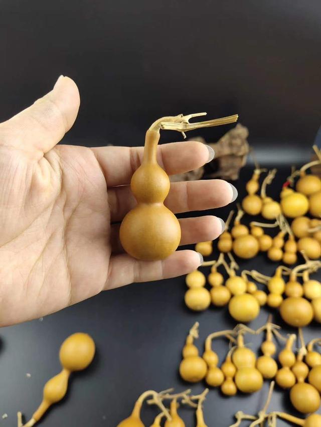 文玩葫芦怎么去黑,文玩葫芦怎样处理更结实