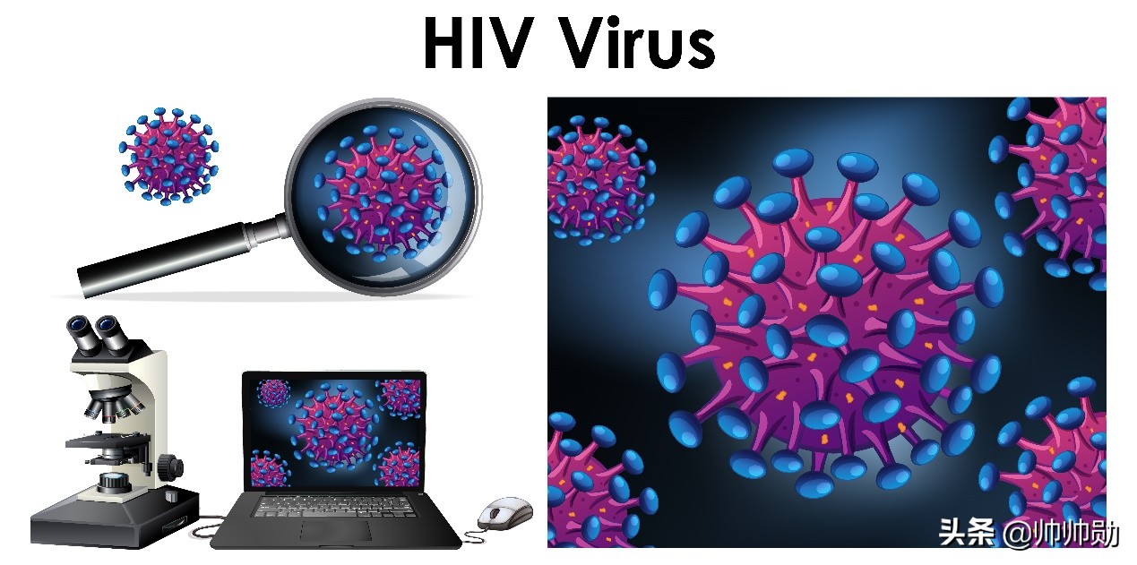 精子可以传播新冠病毒吗,精子会含有新冠病毒吗