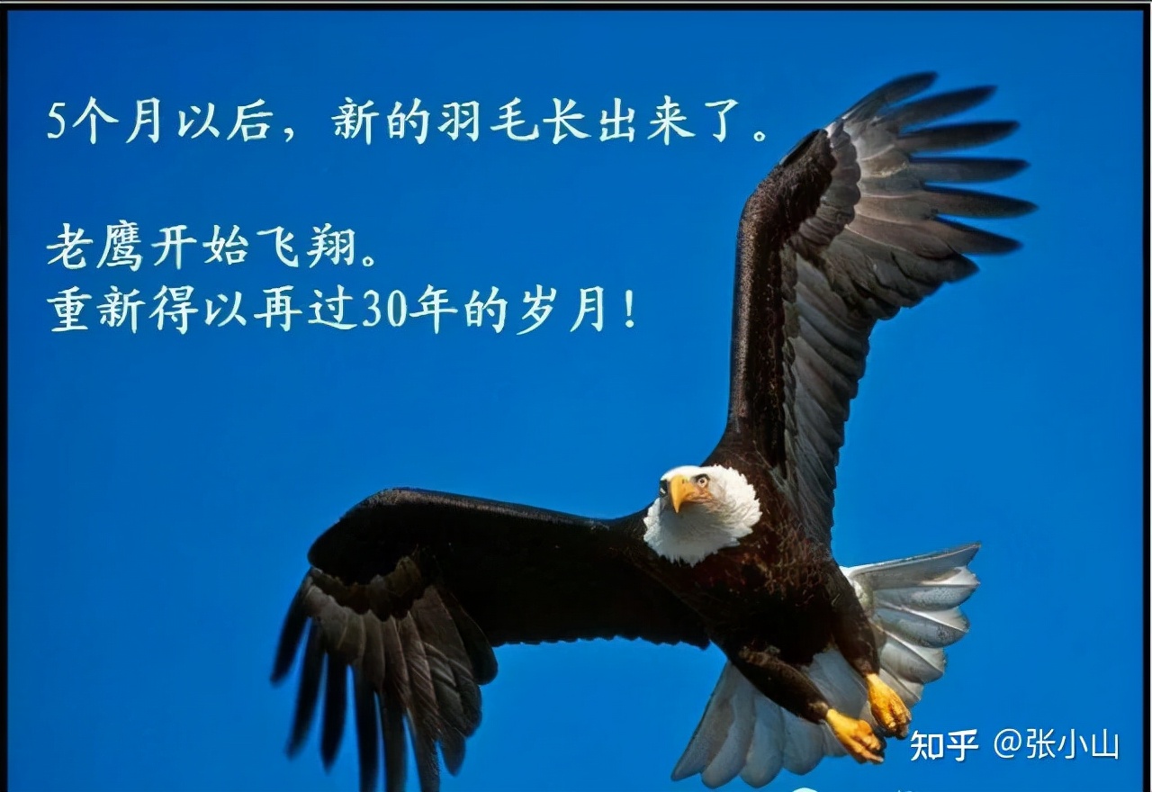 生命动力培训对什么人有好处,成人生命动力培训感悟