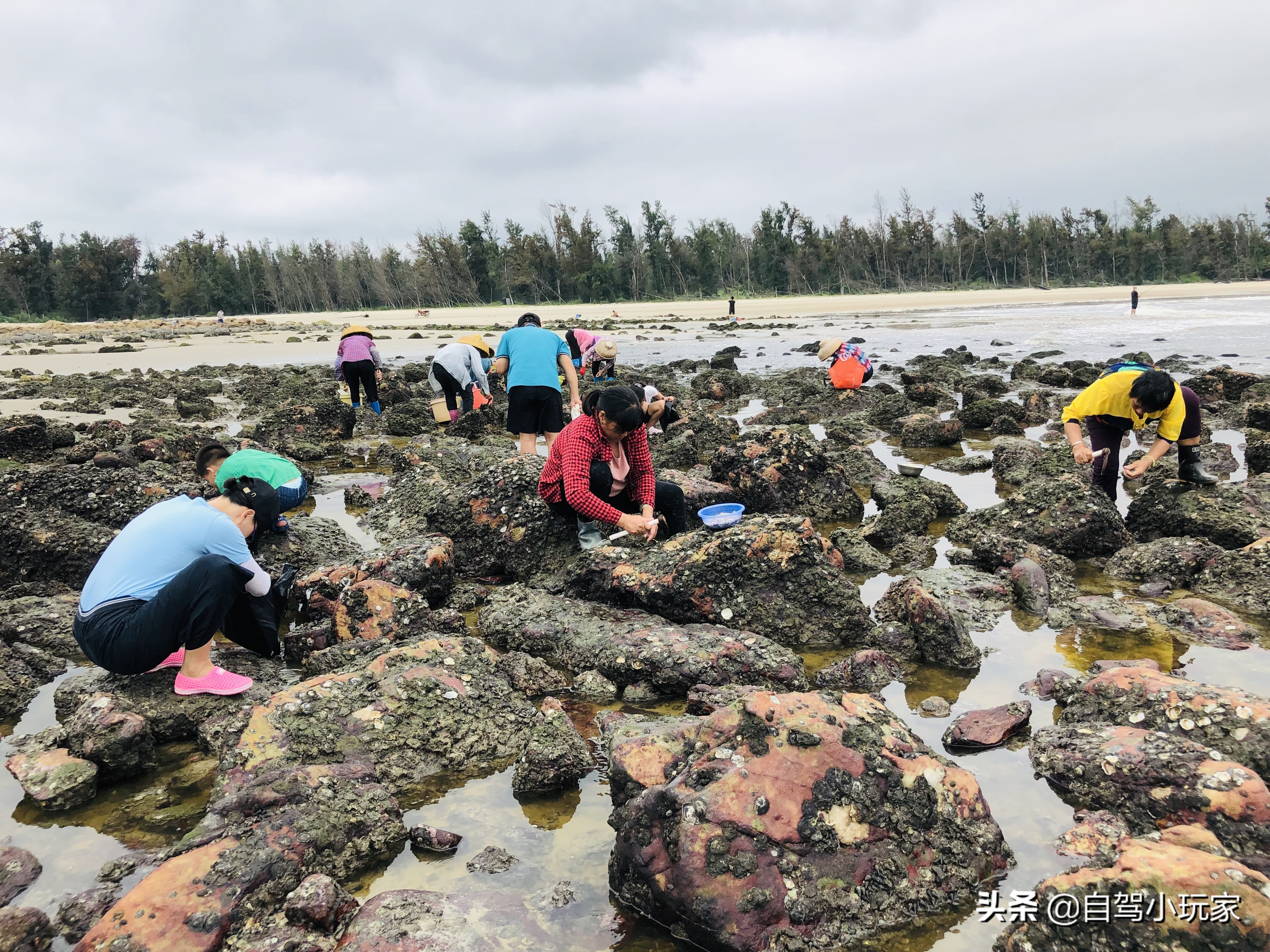 惠州最美礁石海滩,惠州最干净的沙滩推荐