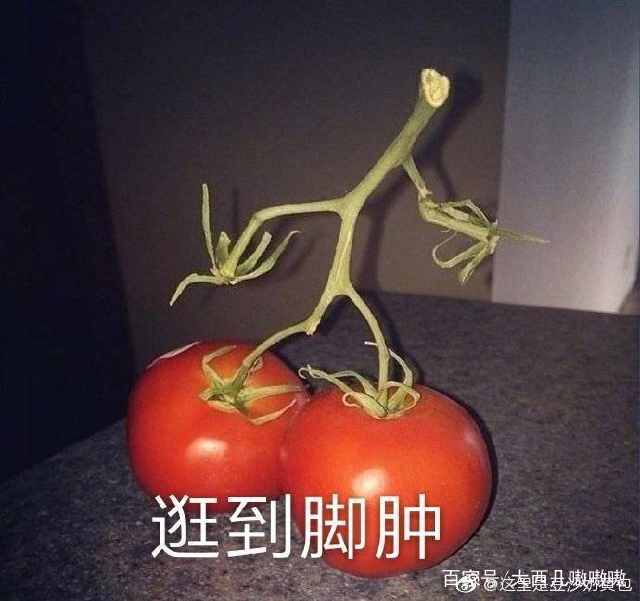 表情包我能怎么办,那我怎么办表情包可爱