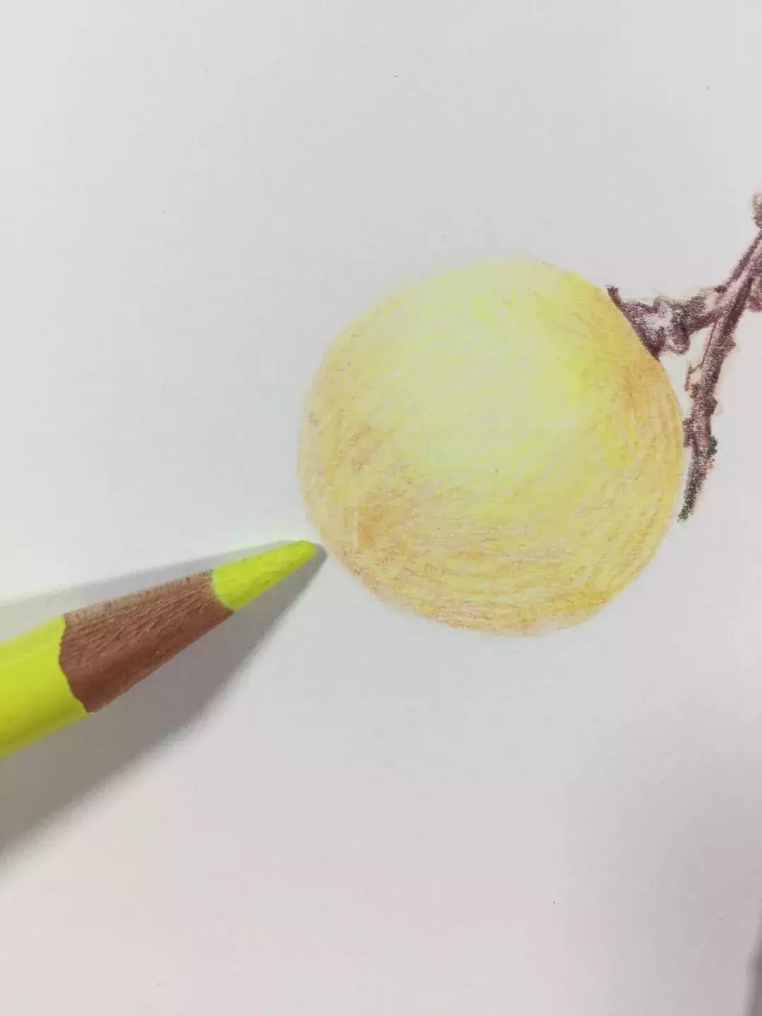 彩铅龙眼,龙眼怎么画彩铅