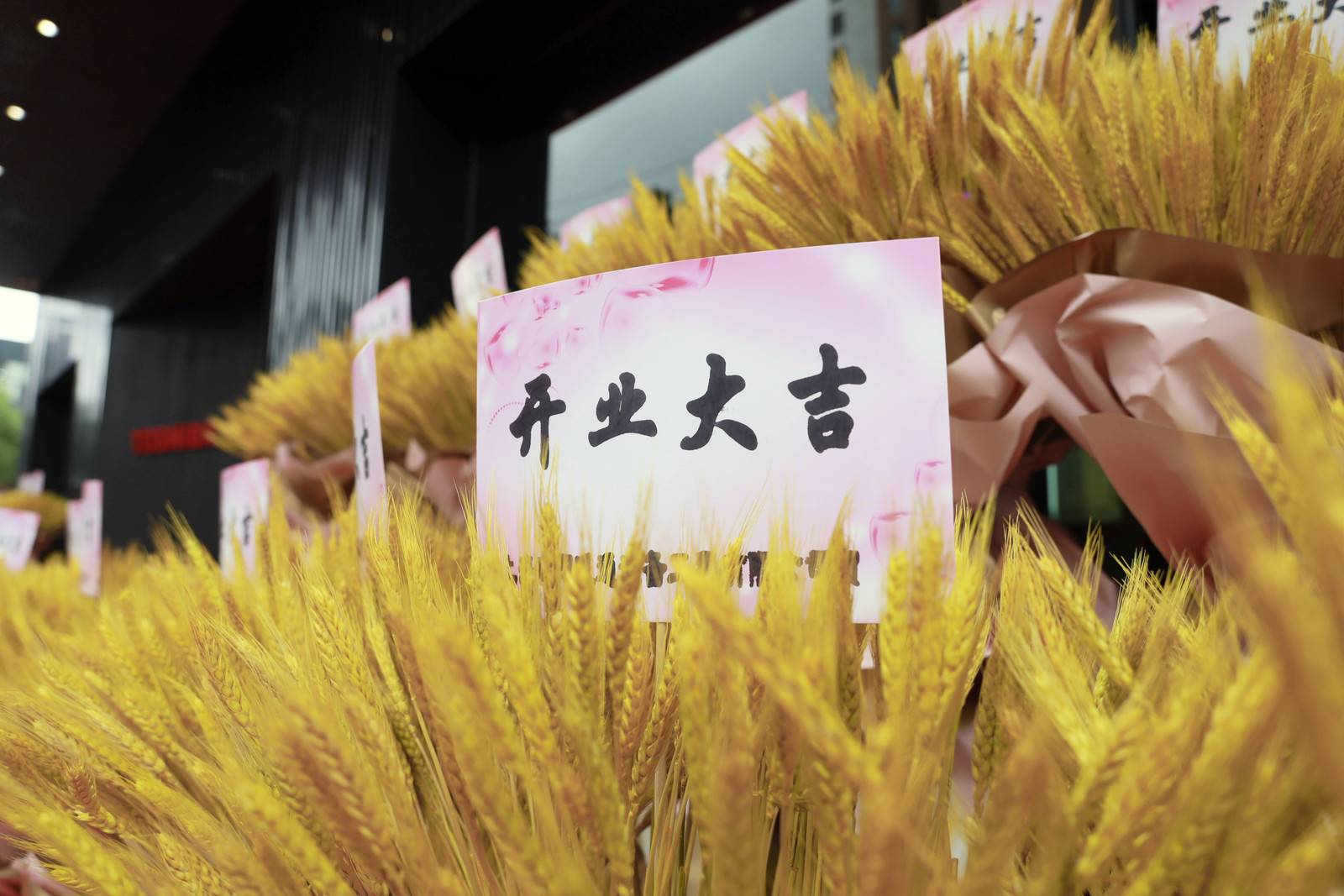 东芝空调官方旗舰店中央空调,东芝空调专卖店展厅