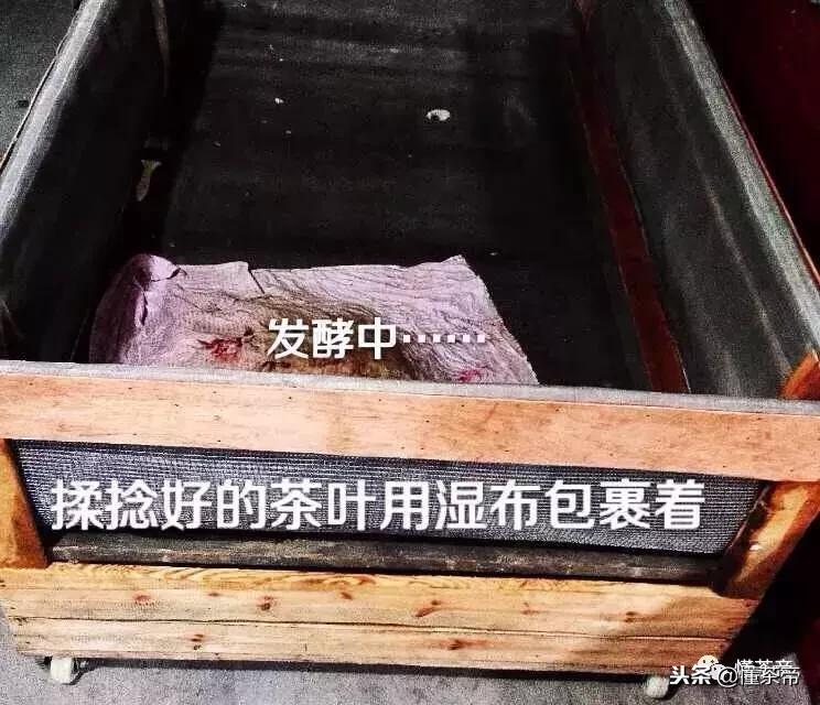 金骏眉银骏眉铜骏眉,金骏眉大赤甘和小赤甘的区别