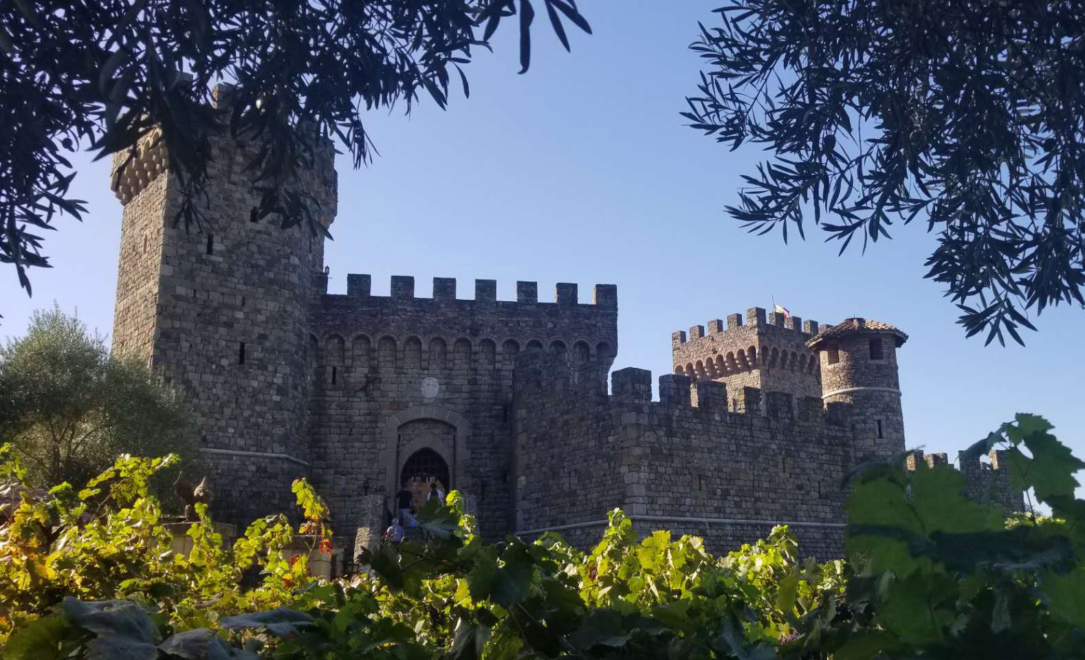 别再傻傻被骗了这才是正宗的红酒,红酒的误区和错误观念