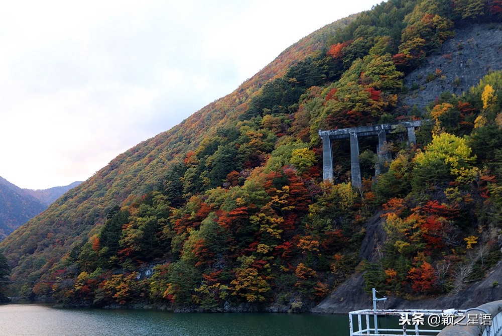 日本锅和德国锅哪个好,日本上万的锅