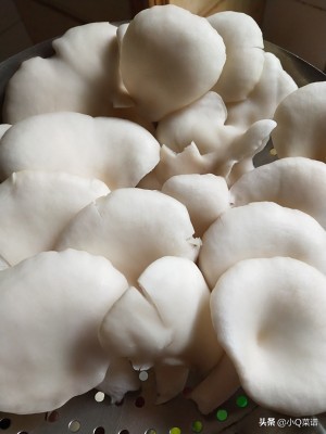 平菇瘦肉汤的做法湘菜,平菇肉片汤最美家常菜