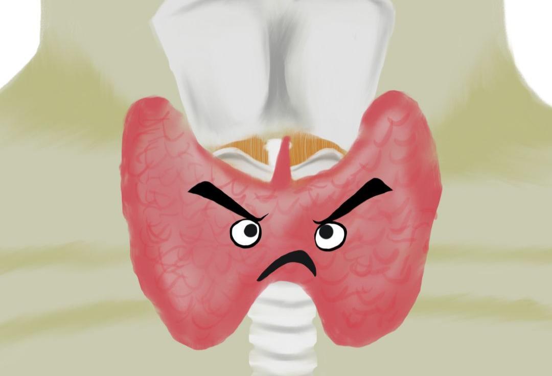 五个小妙招远离甲状腺疾病困扰,国际甲状腺知识宣传周