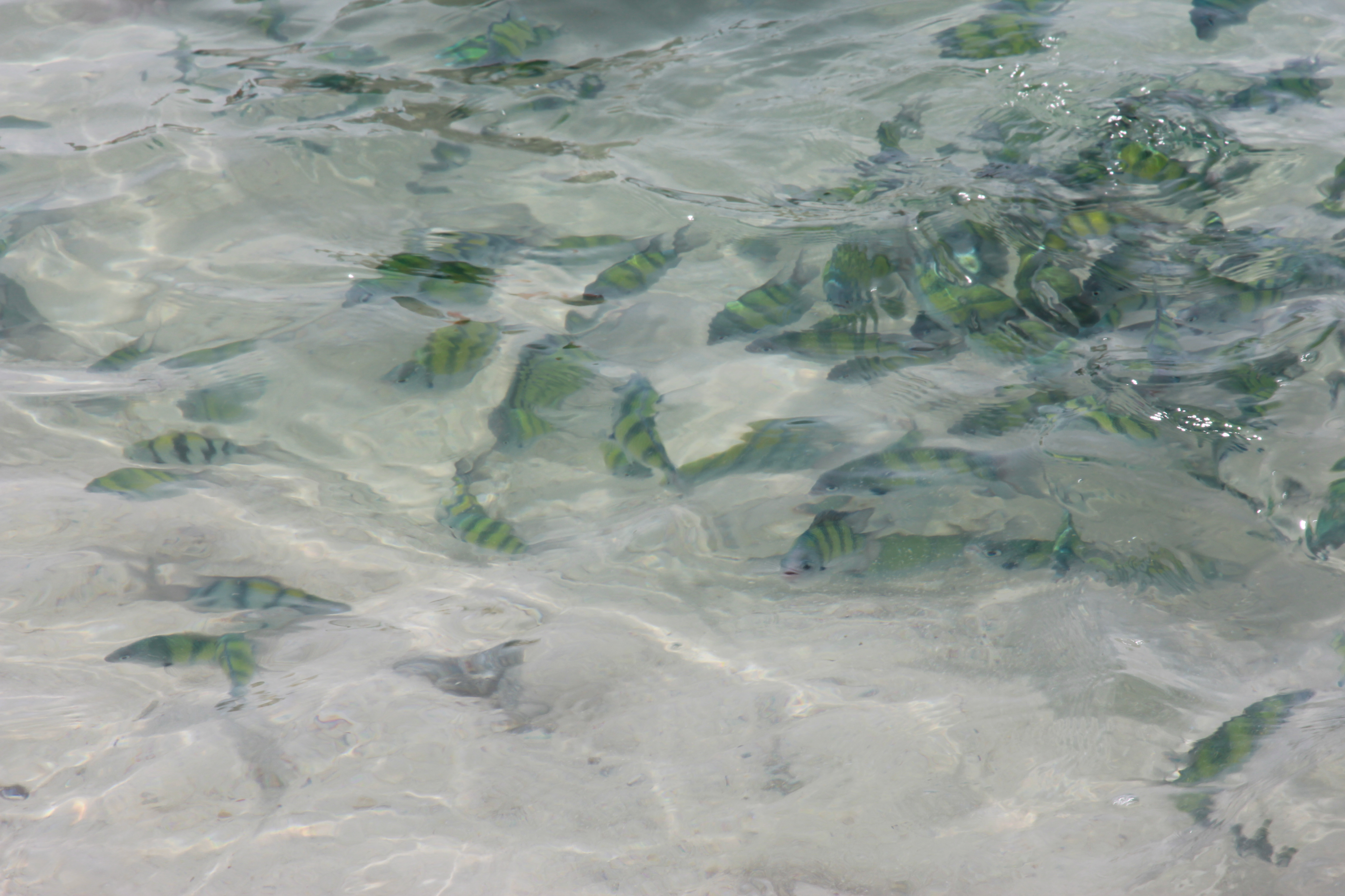 泰国普吉岛旅游攻略小视频,泰国普吉岛自由行旅游最新攻略