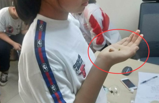 煮熟鸡蛋孵小鸡真的假的,煮熟的鸡蛋也能孵小鸡