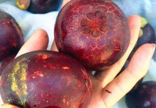 山竹怎么挑选5公6母,山竹怎么挑皮薄核小