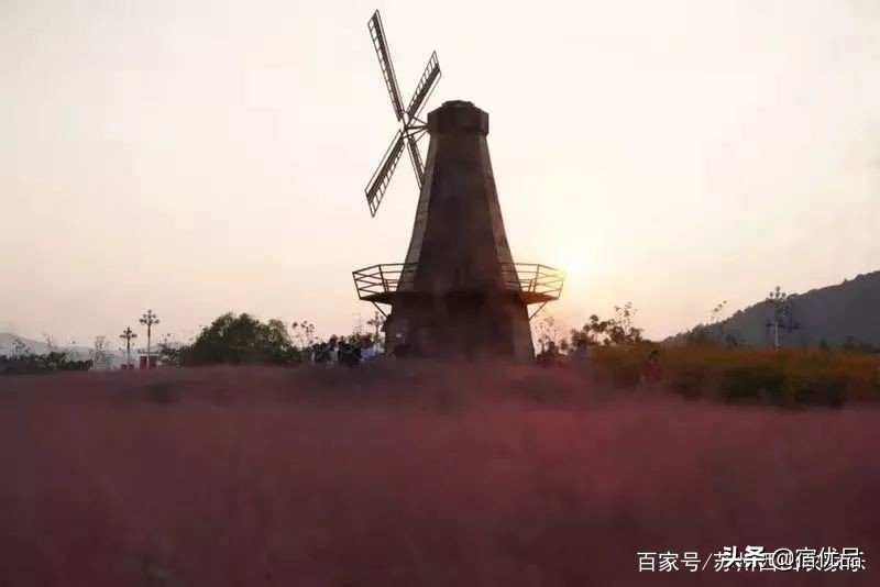 苏州太湖花海主题公园,太湖花海游乐场