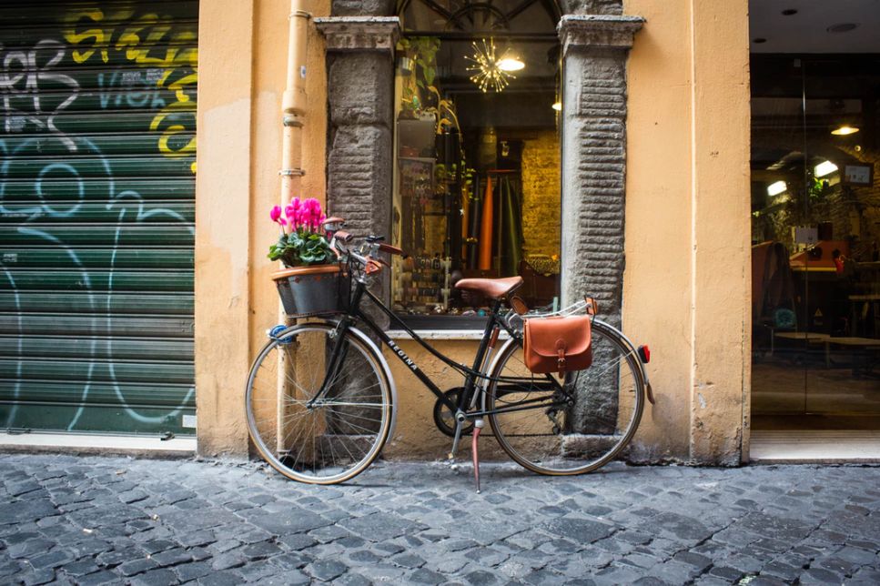 开花店的十大忠告,开花店的人现在都怎么样了