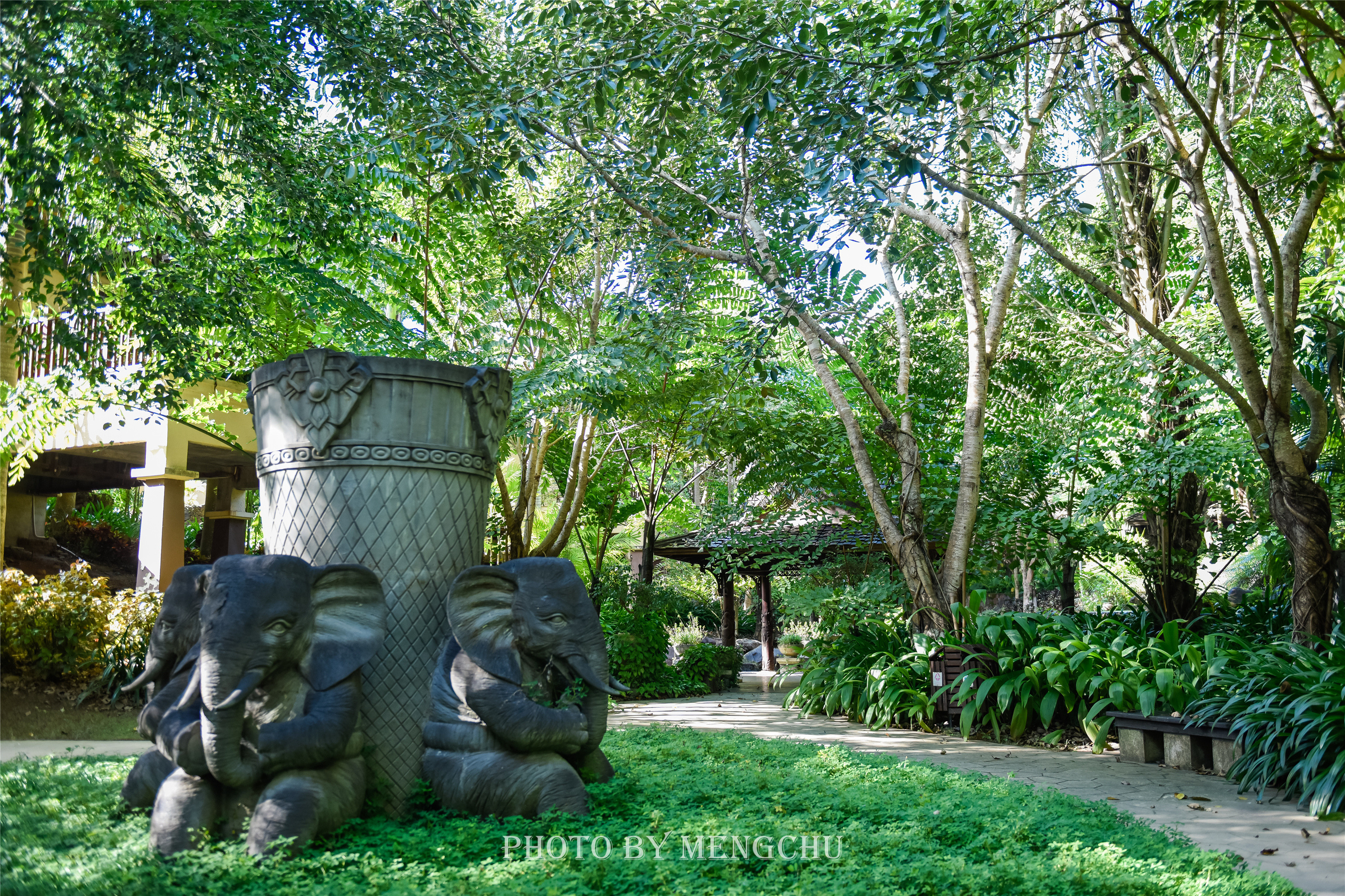 西双版纳安纳塔拉度假酒店游记,西双版纳安纳塔拉度假酒店下午茶