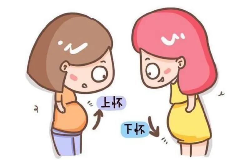 胎位上怀和下怀会变吗,怀孕下怀和上怀胎位有什么区别吗