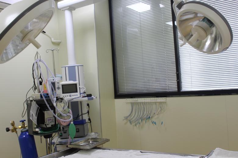 瑞派宠物医院告诉你最牛医院的正确打开方式