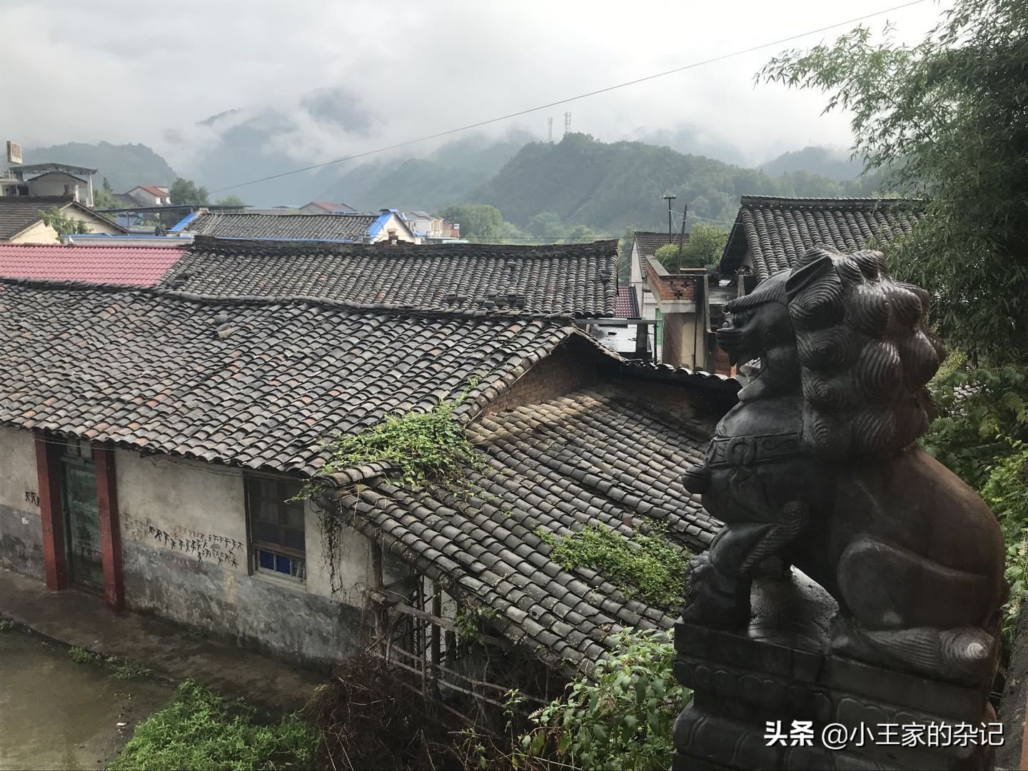 大山里,有一趟可以赶集的绿皮车|8361次汉中—阳平关