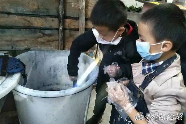 球球生活记录,球球在海边的生活