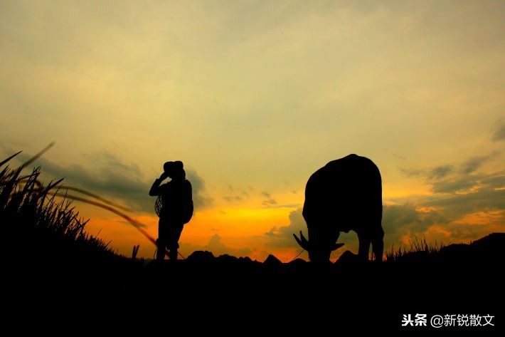 父亲是一个朴实的农民，他不做生意，却有着生意人的头脑