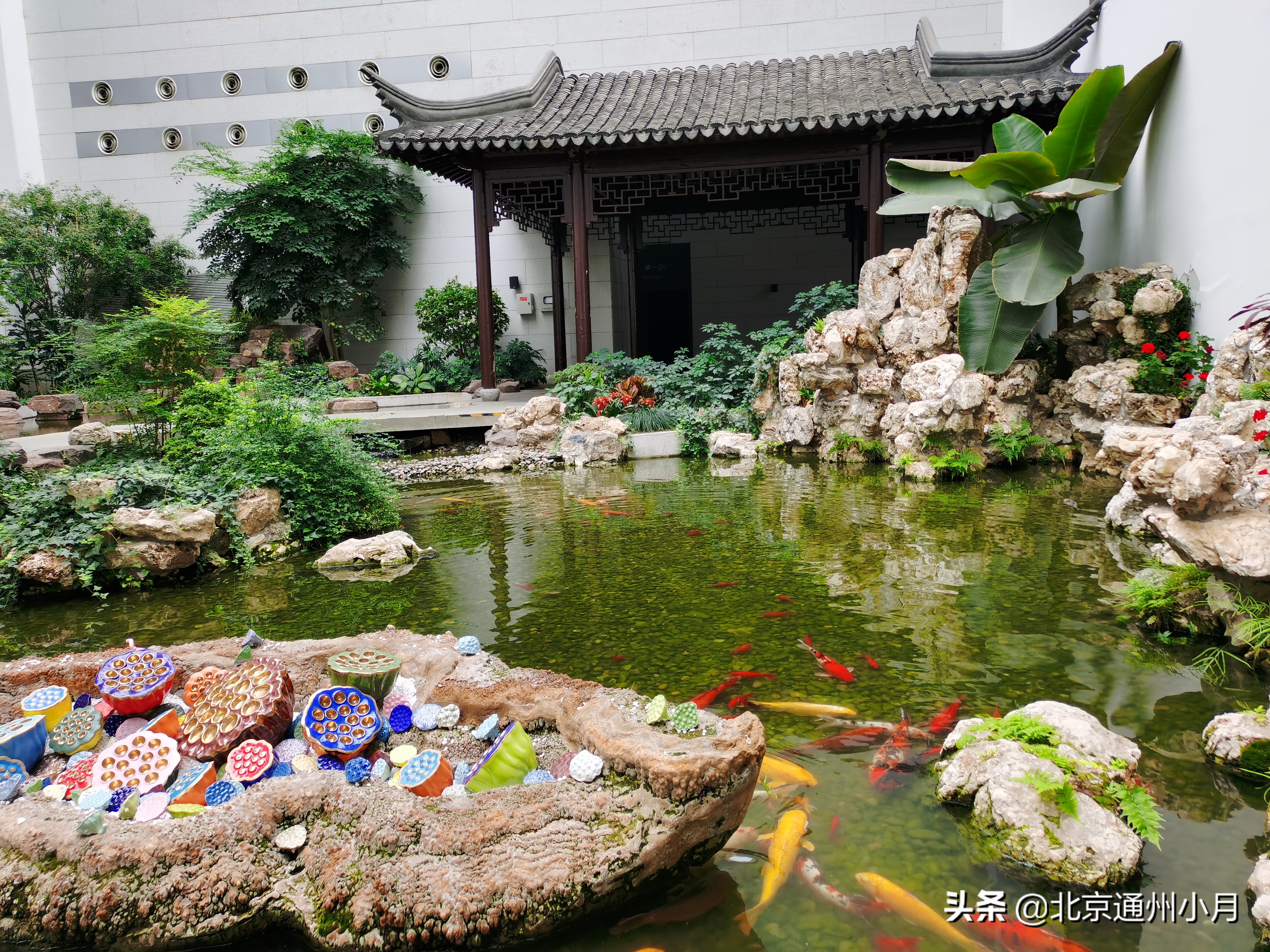 北京适合遛娃的公园,北京户外遛娃好去处冬天