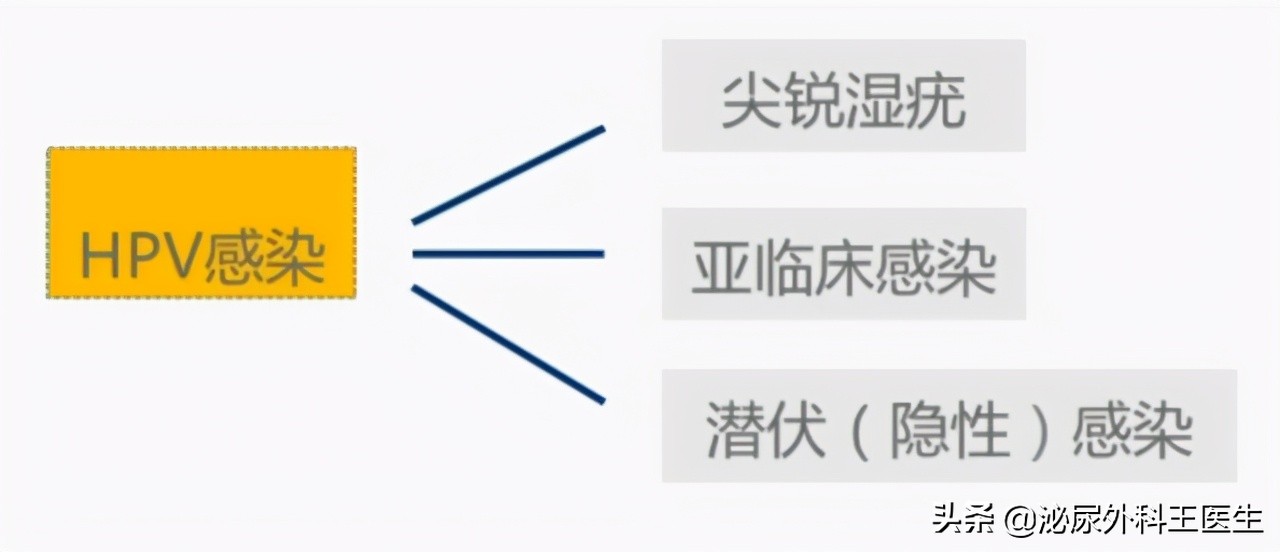 肛门摸到了小肉球，是痔疮还是尖锐湿疣？医生来教你区分