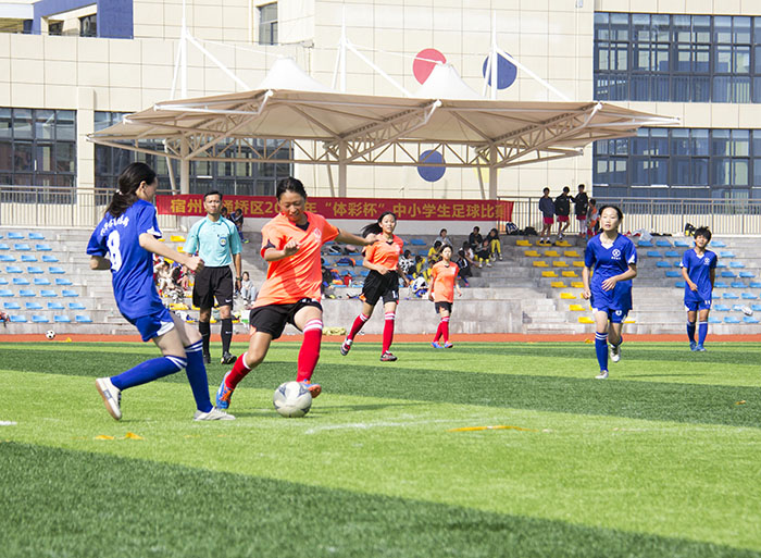 足球队员角逐绿茵赛场,宿州市埇桥区雪枫小学足球比赛