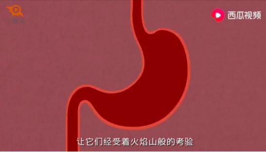 西瓜视频揭秘：辣条吃多了会怎样？一分钟告诉你答案