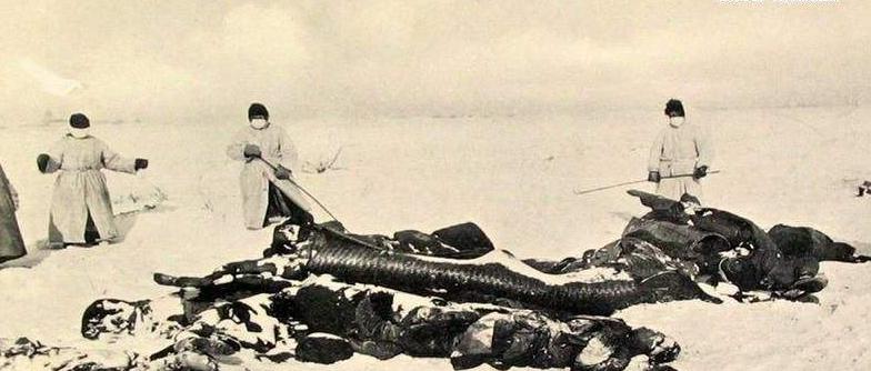 鼠疫为何为传染病之首,鼠疫的现实意义