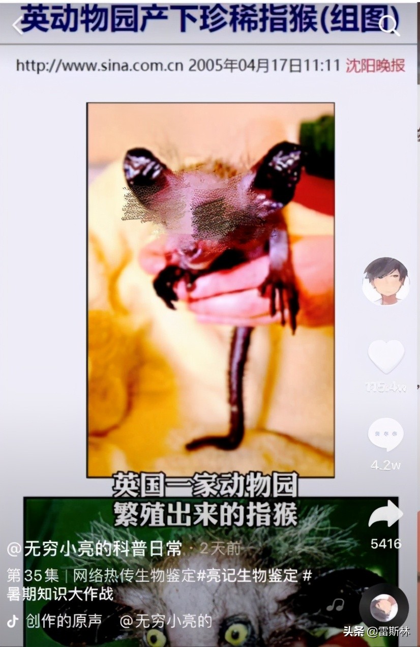 水猴子警告,小亮日常科普水猴子