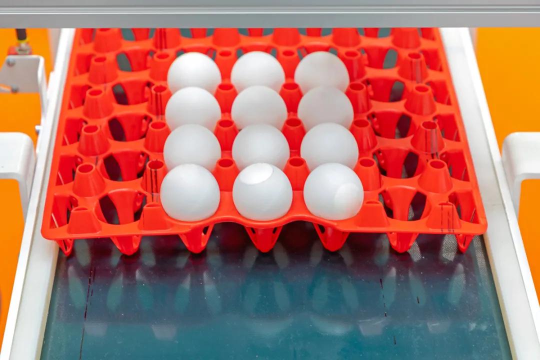 揭秘奥运背后那些不为人知的故事,奥运背后的故事