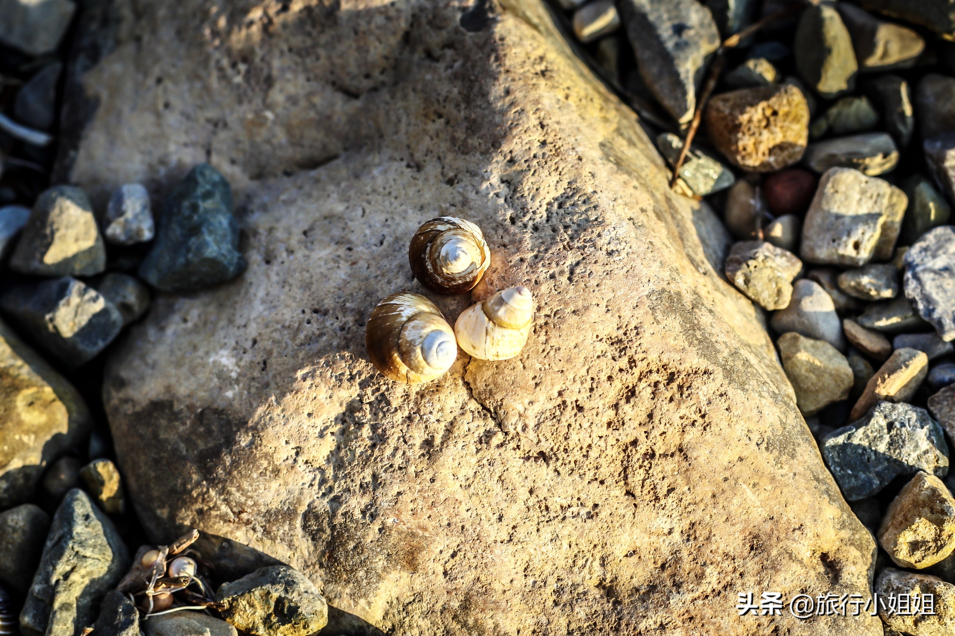 住在梦幻城堡,抚仙湖海豚湾住宿攻略