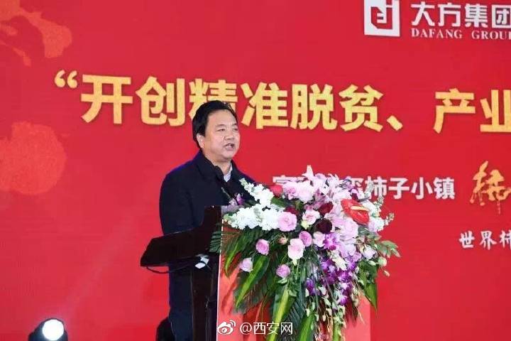 天玺柿子小镇富平柿饼,正宗陕西富平天玺柿饼