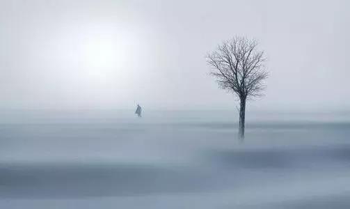 人生的至高境界是什么,人生至高境界佛为心道为骨