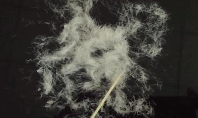 早晚刷牙了牙齿还是臭怎么回事,天天刷牙牙齿很黄很臭学会这一招