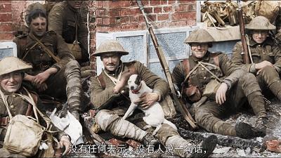 最近上映的电影豆瓣,最近上映的院线电影豆瓣评分