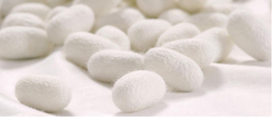 真丝为什么这么贵,真的真丝和假真丝的区别